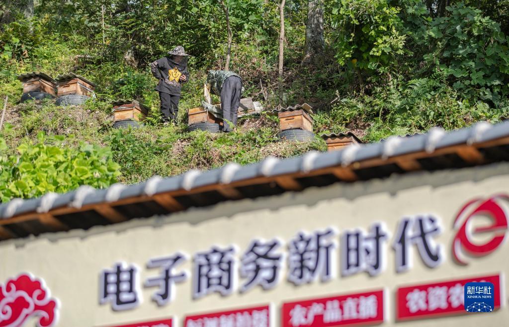 凤凰网电脑版